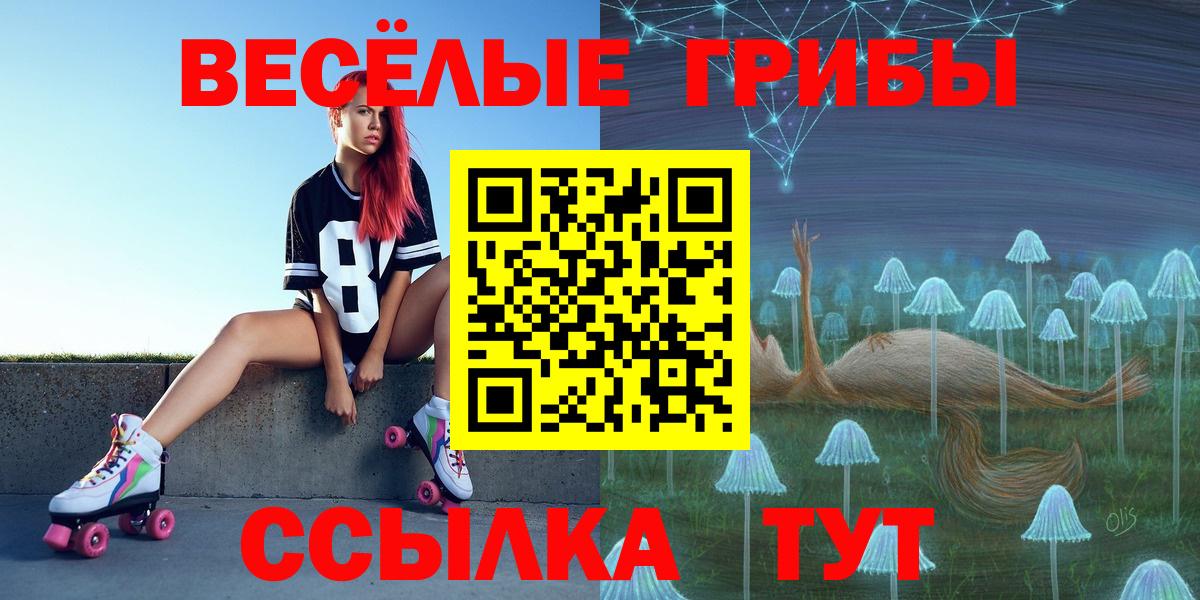Пугачёв  Псилоцибиновые грибы Psilocybe  Вход с VPN  Псилоцибиновые грибы мухоморы 